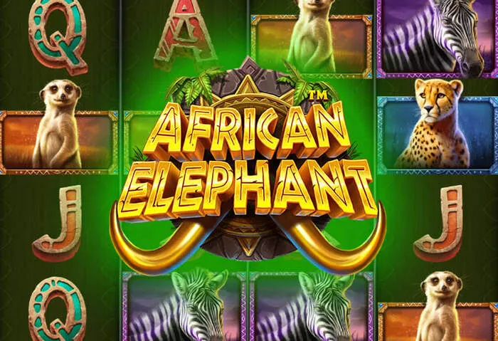 Lire notre Crazy Luck Casino Jeux Avis détaillé maintenant.
